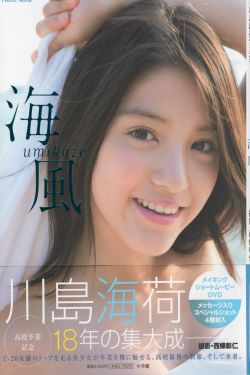 国产精品久久久久精品A片软件