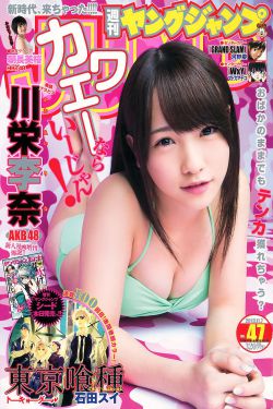 大理公主 电视剧